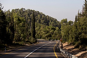 Forets dans le desert du Néguev